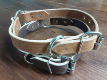Load image into Gallery viewer, One-Inch Center Ring Dog Collar
