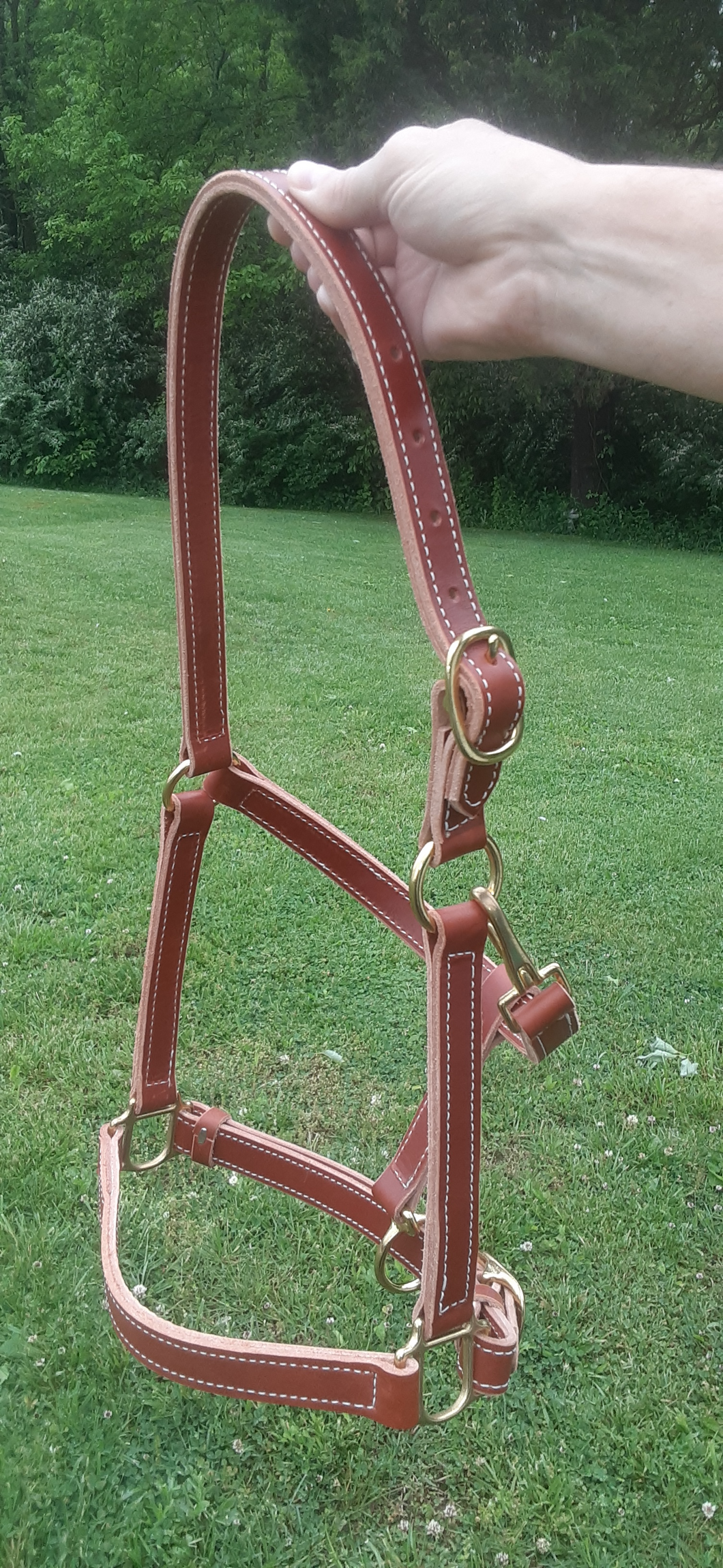 Adjustable Horse Halter