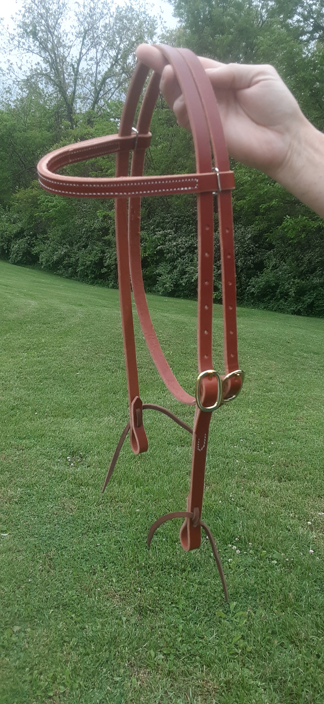Leather Brow Band Bridle with Leather Ties