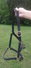 Load image into Gallery viewer, Adjustable Horse Halter
